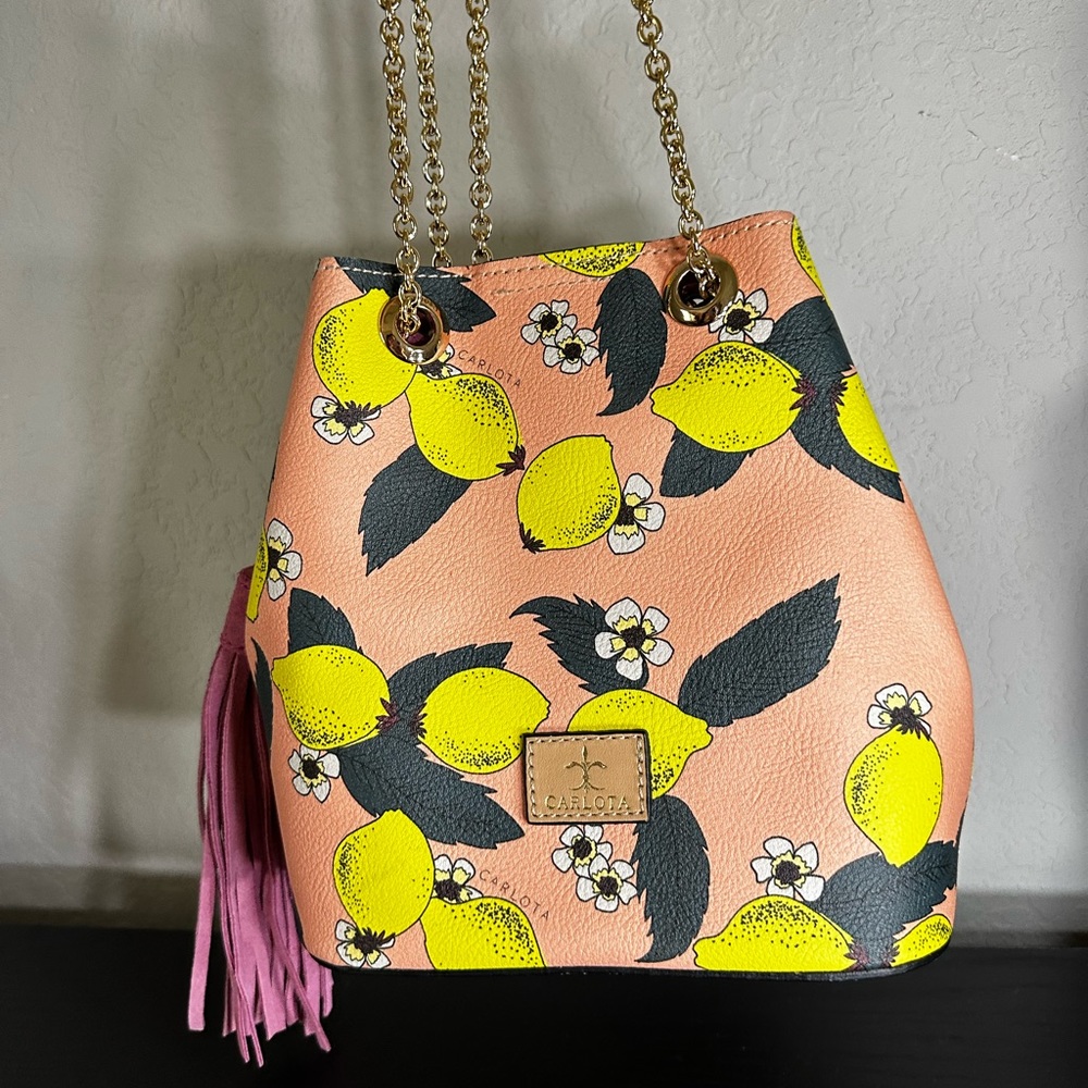 Carlota Bag, never used.